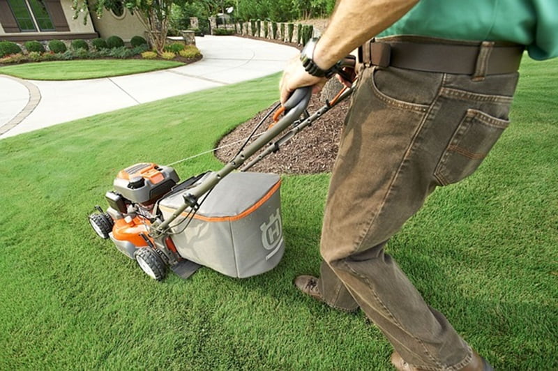 lawn cutter