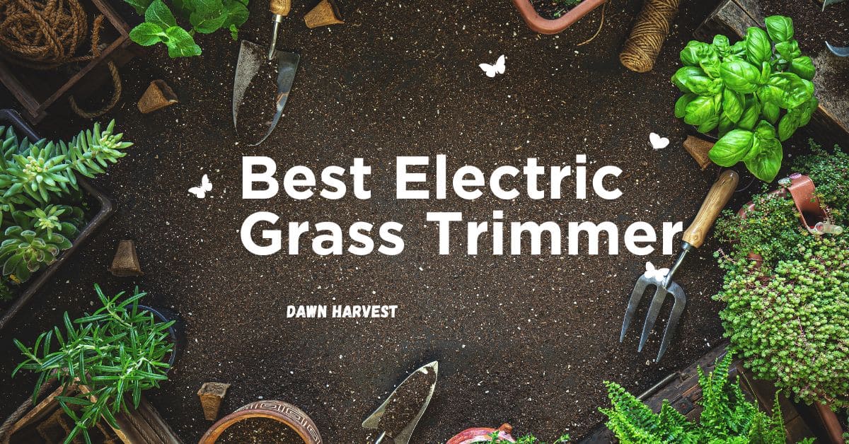 Best electric grass trimmer by dawn harvest